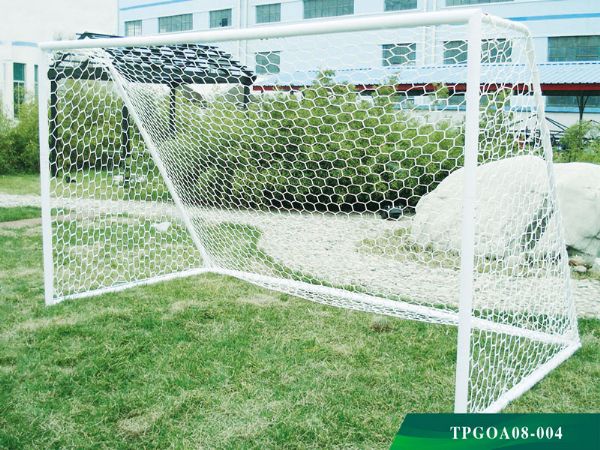 TP63-1001球門(mén)